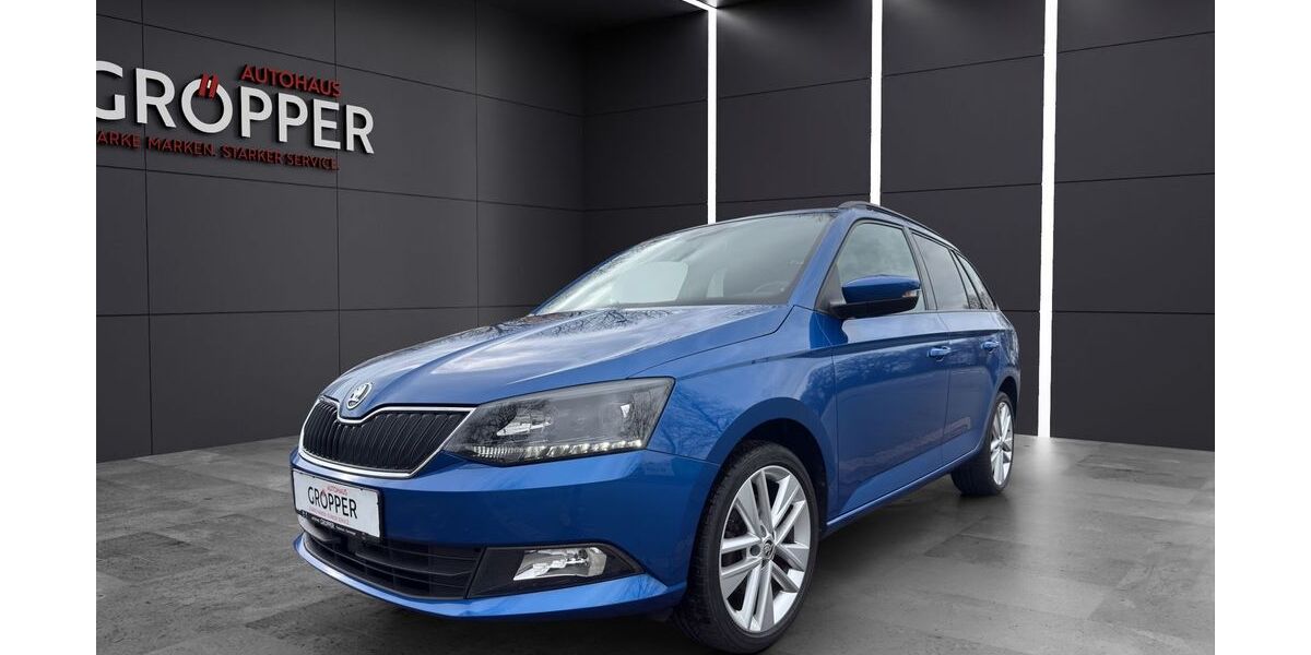 Skoda Fabia 108.500 km 11.890 &euro; Paderborn 33104