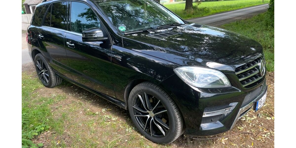 Mercedes-Benz ML 350 216.000 km 18.400 &euro; Delbrück 33129