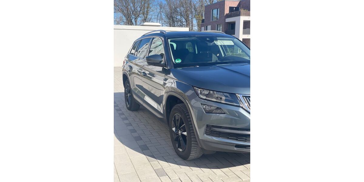Skoda Kodiaq 194.000 km 19.000 &euro; Gütersloh 33330