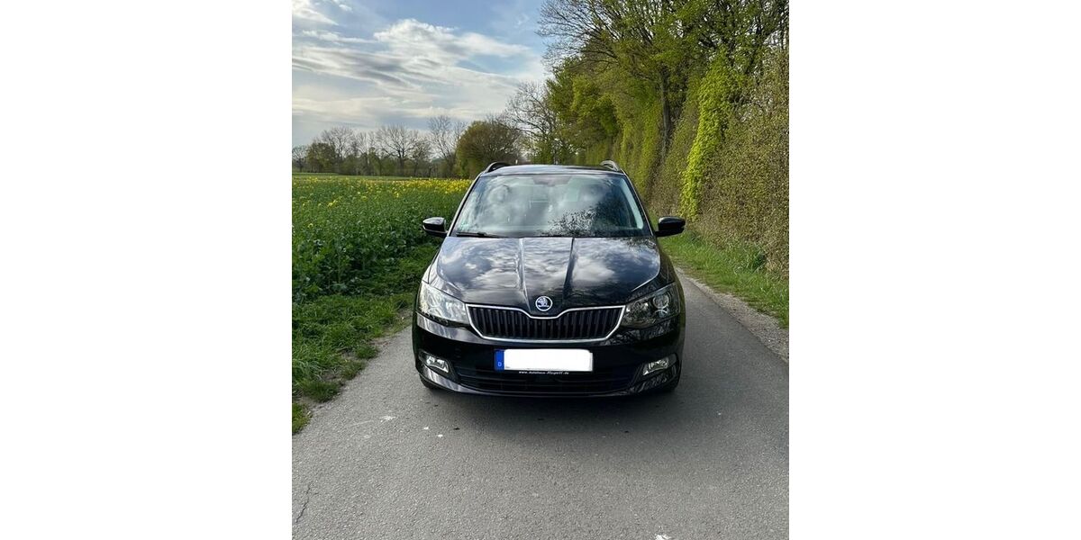 Skoda Fabia 98.000 km 10.700 &euro; Soest 59494