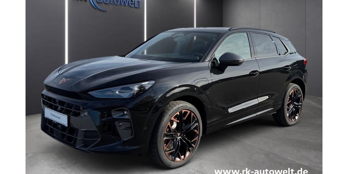 Cupra Terramar 14.900 km 45.790 &euro; Ennigerloh 59320