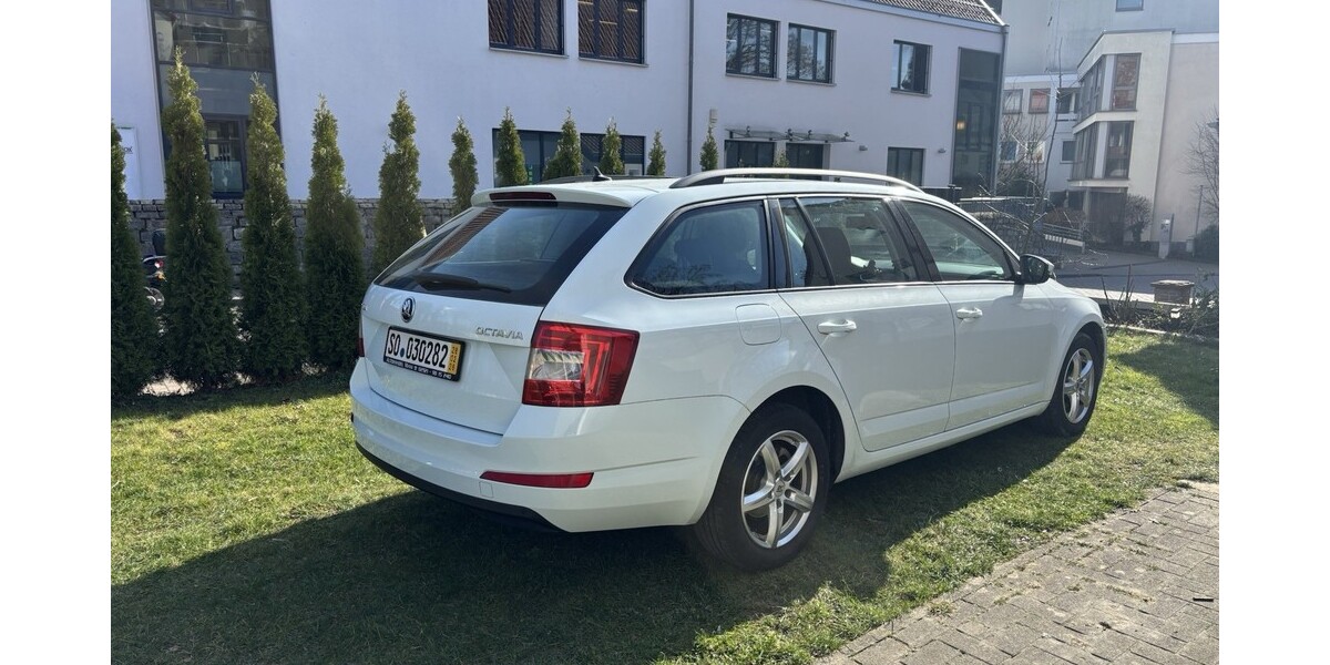 Skoda Octavia 306.000 km 5.999 &euro; Soest 59494