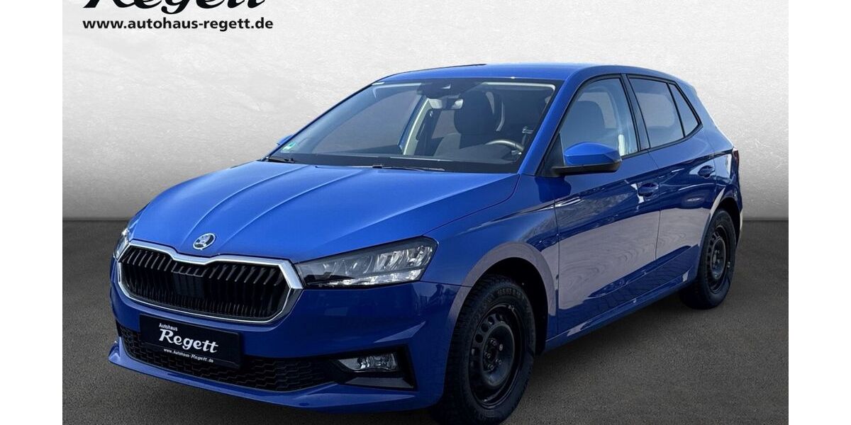 Skoda Fabia 21.247 km 18.990 &euro; Soest 59494