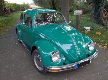 Gebrauchte VW Käfer